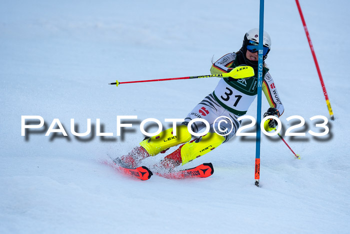 FIS Slalom + NJC Damen + FIS Herren 22.02.2020