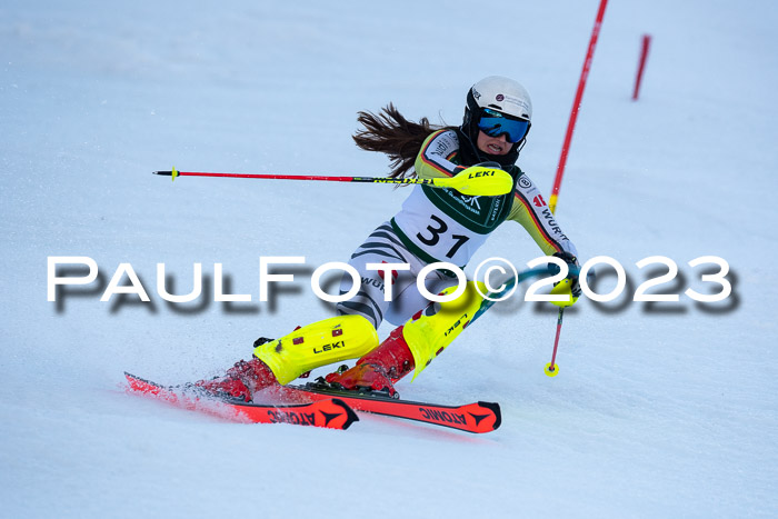 FIS Slalom + NJC Damen + FIS Herren 22.02.2020