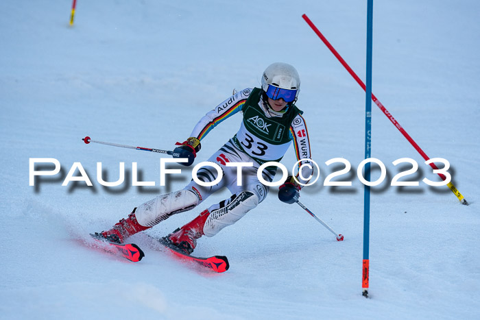 FIS Slalom + NJC Damen + FIS Herren 22.02.2020