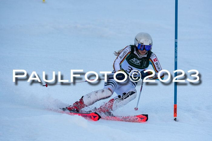 FIS Slalom + NJC Damen + FIS Herren 22.02.2020