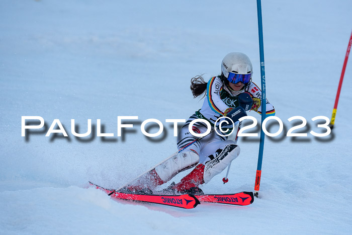 FIS Slalom + NJC Damen + FIS Herren 22.02.2020