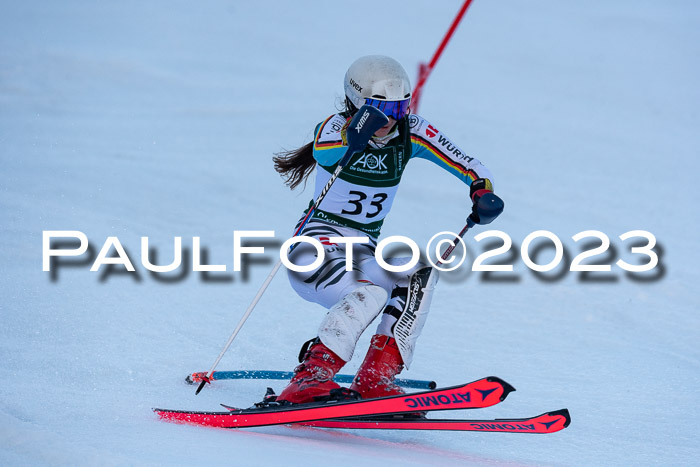 FIS Slalom + NJC Damen + FIS Herren 22.02.2020