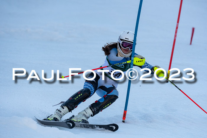 FIS Slalom + NJC Damen + FIS Herren 22.02.2020