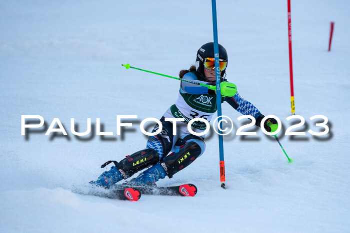 FIS Slalom + NJC Damen + FIS Herren 22.02.2020