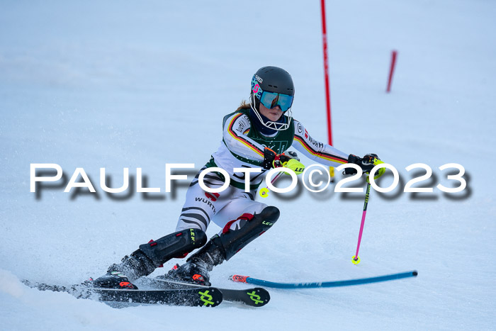 FIS Slalom + NJC Damen + FIS Herren 22.02.2020