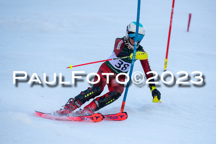 FIS Slalom + NJC Damen + FIS Herren 22.02.2020