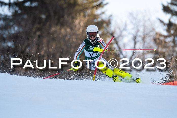 FIS Slalom + NJC Damen + FIS Herren 22.02.2020
