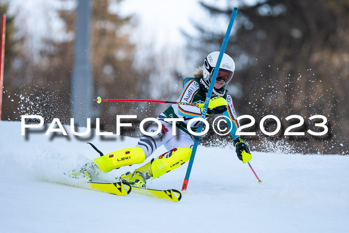 FIS Slalom + NJC Damen + FIS Herren 22.02.2020