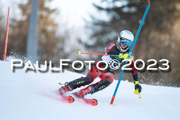 FIS Slalom + NJC Damen + FIS Herren 22.02.2020