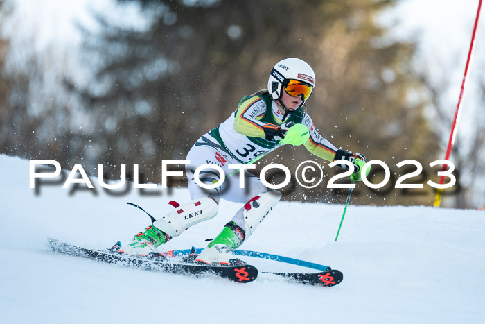 FIS Slalom + NJC Damen + FIS Herren 22.02.2020