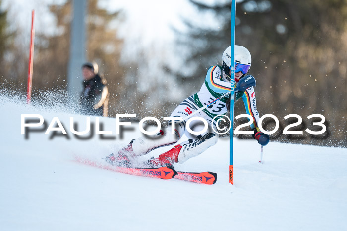 FIS Slalom + NJC Damen + FIS Herren 22.02.2020