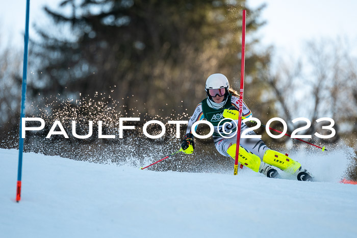 FIS Slalom + NJC Damen + FIS Herren 22.02.2020