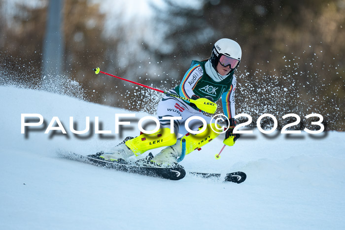 FIS Slalom + NJC Damen + FIS Herren 22.02.2020