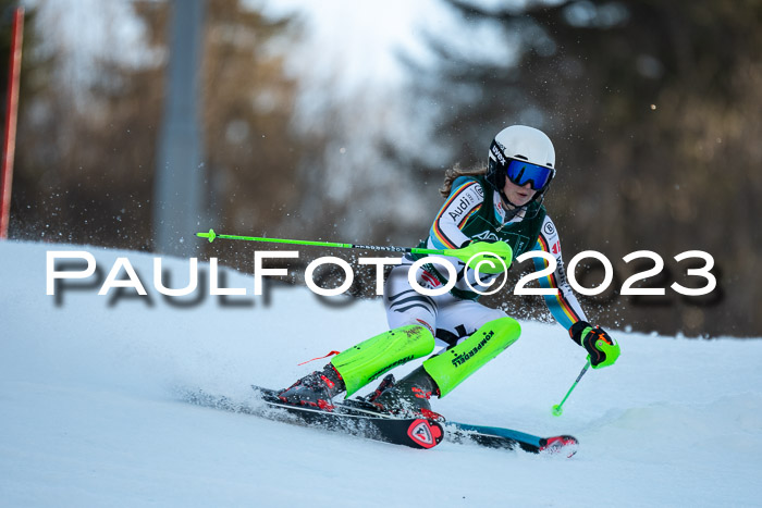 FIS Slalom + NJC Damen + FIS Herren 22.02.2020