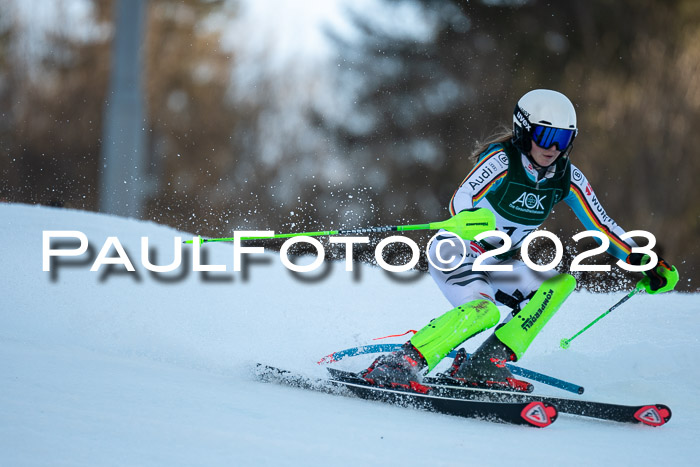 FIS Slalom + NJC Damen + FIS Herren 22.02.2020