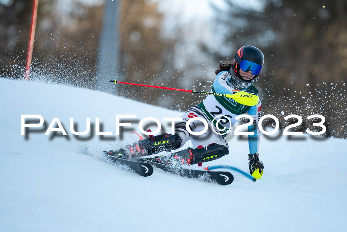 FIS Slalom + NJC Damen + FIS Herren 22.02.2020