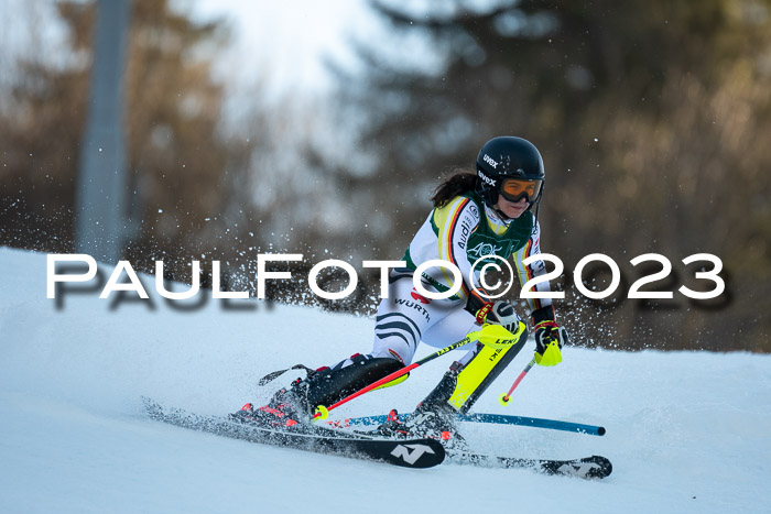 FIS Slalom + NJC Damen + FIS Herren 22.02.2020