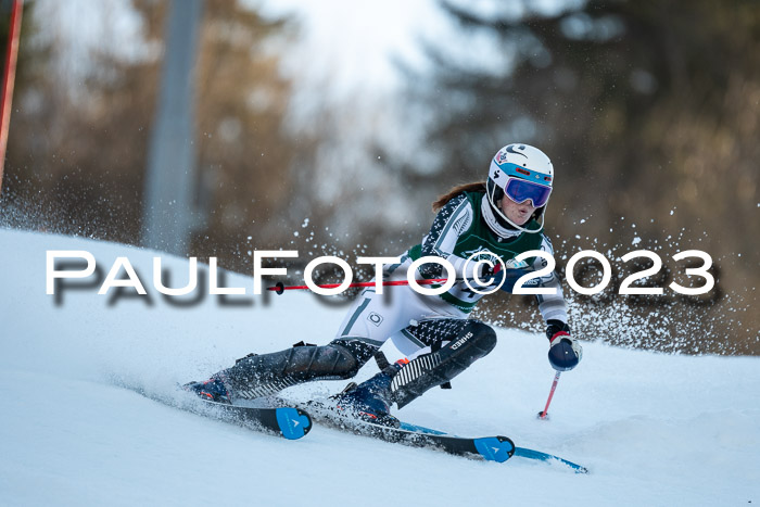FIS Slalom + NJC Damen + FIS Herren 22.02.2020