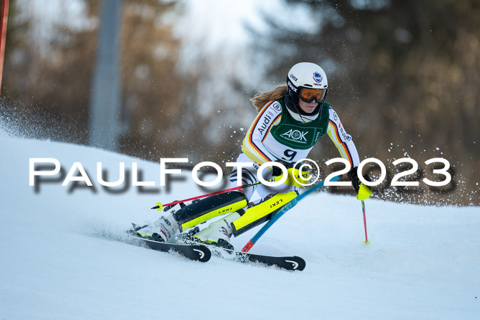 FIS Slalom + NJC Damen + FIS Herren 22.02.2020