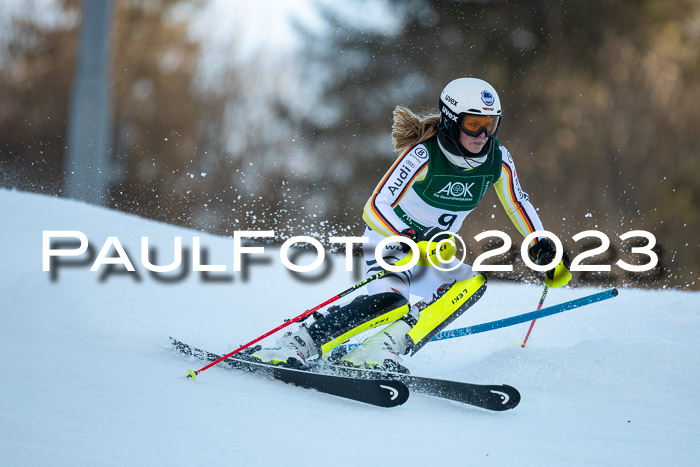 FIS Slalom + NJC Damen + FIS Herren 22.02.2020