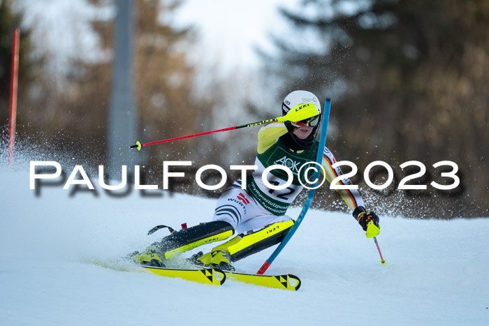 FIS Slalom + NJC Damen + FIS Herren 22.02.2020