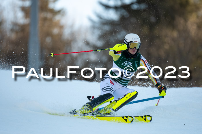 FIS Slalom + NJC Damen + FIS Herren 22.02.2020