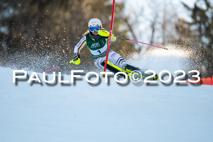 FIS Slalom + NJC Damen + FIS Herren 22.02.2020