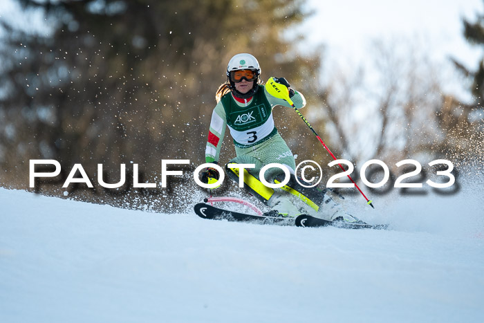 FIS Slalom + NJC Damen + FIS Herren 22.02.2020