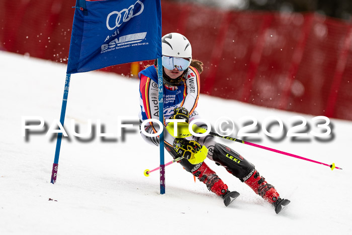 BSV Skiliga Bayern Schüler II VSL 15.01.2023