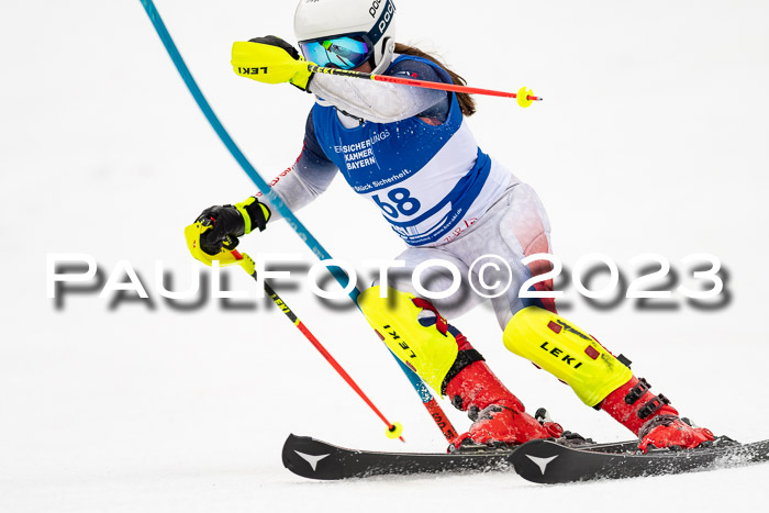 BSV Skiliga Bayern Schüler II VSL 15.01.2023