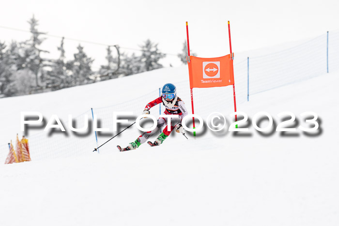U12 Ziener Kids Cross Cup RSX Reg 4, 28.01.2023