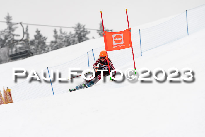 U12 Ziener Kids Cross Cup RSX Reg 4, 28.01.2023