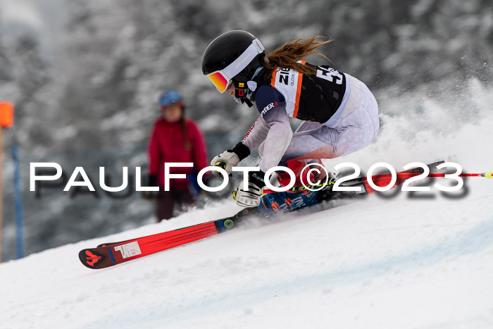 U12 Ziener Kids Cross Cup RSX Reg 4, 28.01.2023