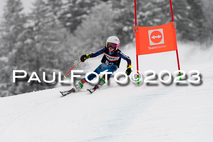 U12 Ziener Kids Cross Cup RSX Reg 4, 28.01.2023