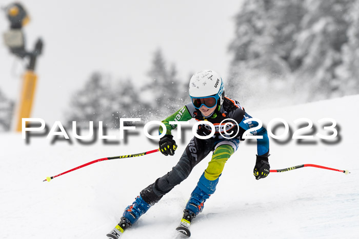 U12 Ziener Kids Cross Cup RSX Reg 4, 28.01.2023