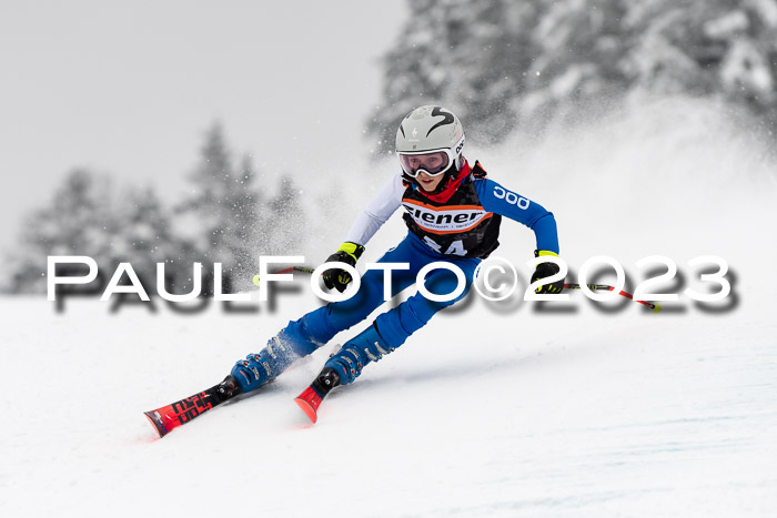 U12 Ziener Kids Cross Cup RSX Reg 4, 28.01.2023