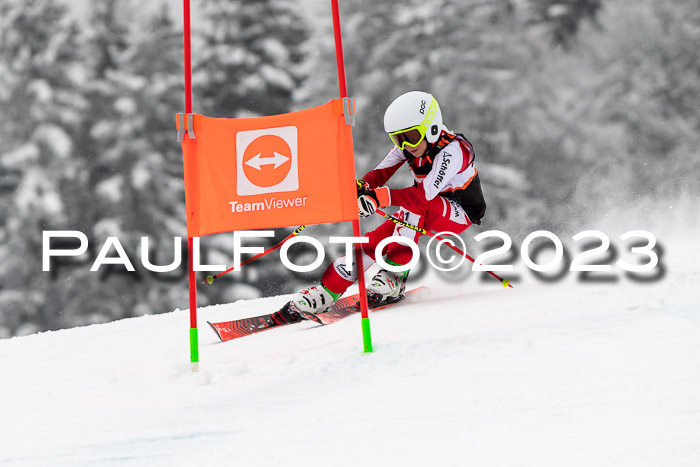 U12 Ziener Kids Cross Cup RSX Reg 4, 28.01.2023