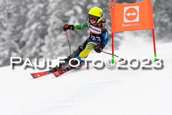 U12 Ziener Kids Cross Cup RSX Reg 4, 28.01.2023