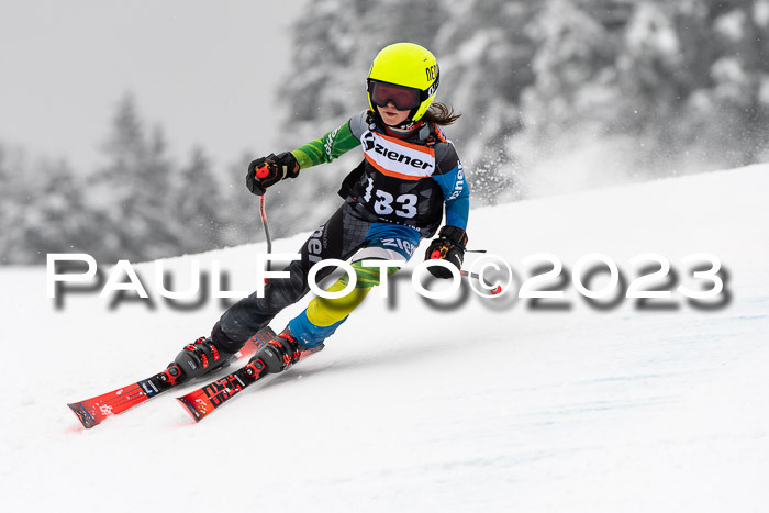 U12 Ziener Kids Cross Cup RSX Reg 4, 28.01.2023