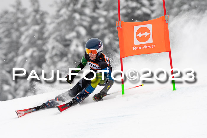 U12 Ziener Kids Cross Cup RSX Reg 4, 28.01.2023