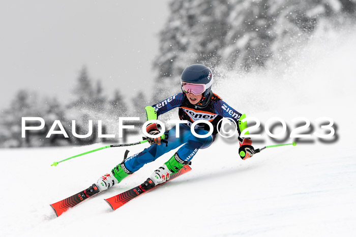 U12 Ziener Kids Cross Cup RSX Reg 4, 28.01.2023