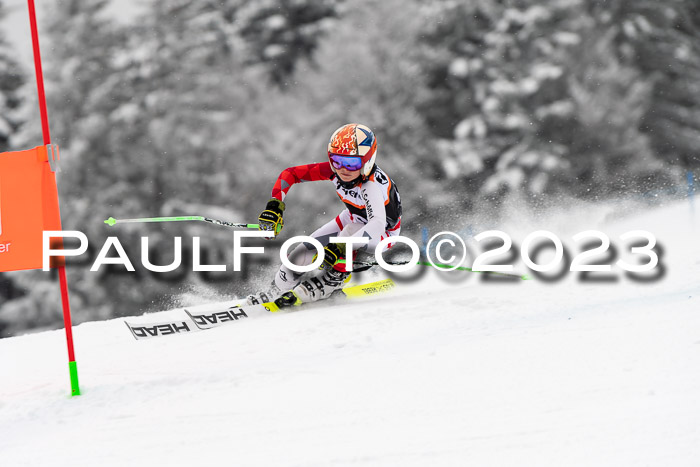 U12 Ziener Kids Cross Cup RSX Reg 4, 28.01.2023