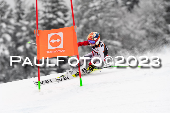 U12 Ziener Kids Cross Cup RSX Reg 4, 28.01.2023