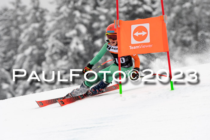 U12 Ziener Kids Cross Cup RSX Reg 4, 28.01.2023