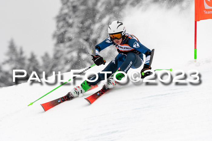 U12 Ziener Kids Cross Cup RSX Reg 4, 28.01.2023