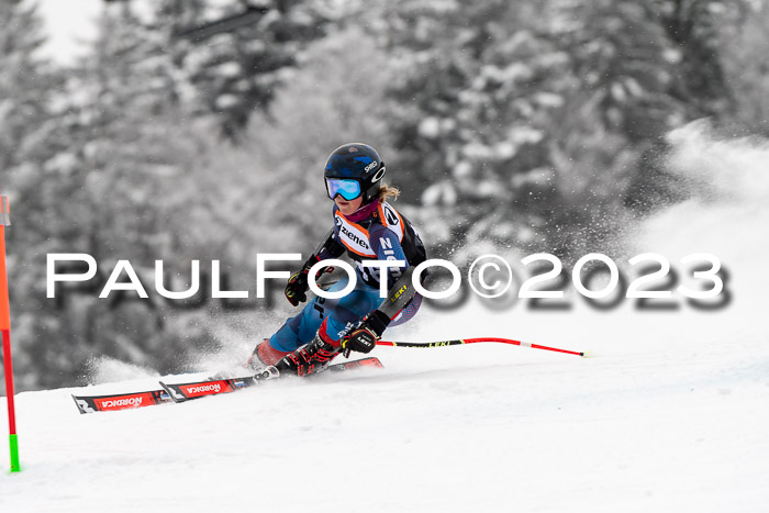 U12 Ziener Kids Cross Cup RSX Reg 4, 28.01.2023