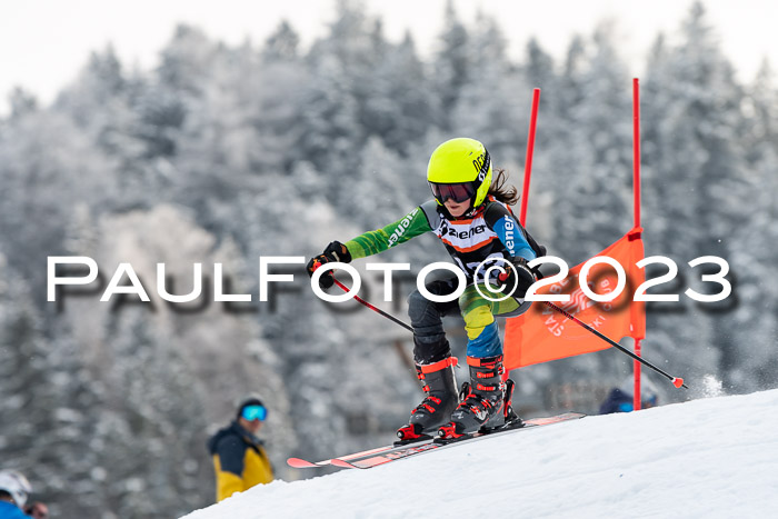 U12 Ziener Kids Cross Cup RSX Reg 4, 28.01.2023