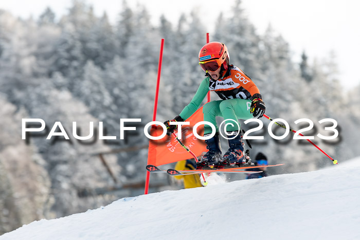 U12 Ziener Kids Cross Cup RSX Reg 4, 28.01.2023
