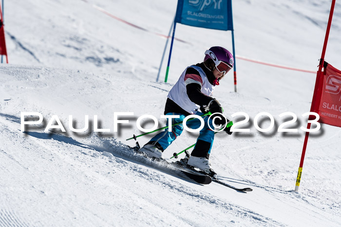 SVM U8-U10 VSL 29.01.2023