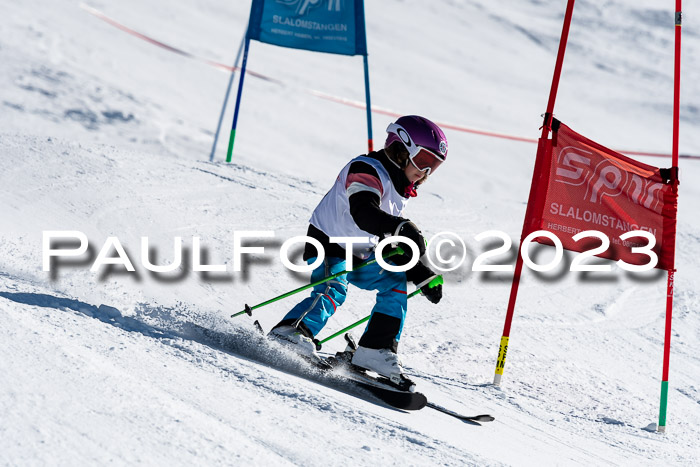 SVM U8-U10 VSL 29.01.2023